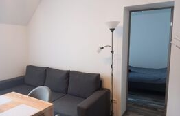 Investiție zona centrală! Apartament cu o camera la mansarda 42mp cu loc de parcare in curte, zona Centrala