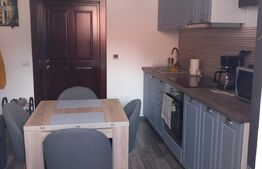 Investiție zona centrală! Apartament cu o camera la mansarda 42mp cu loc de parcare in curte, zona Centrala