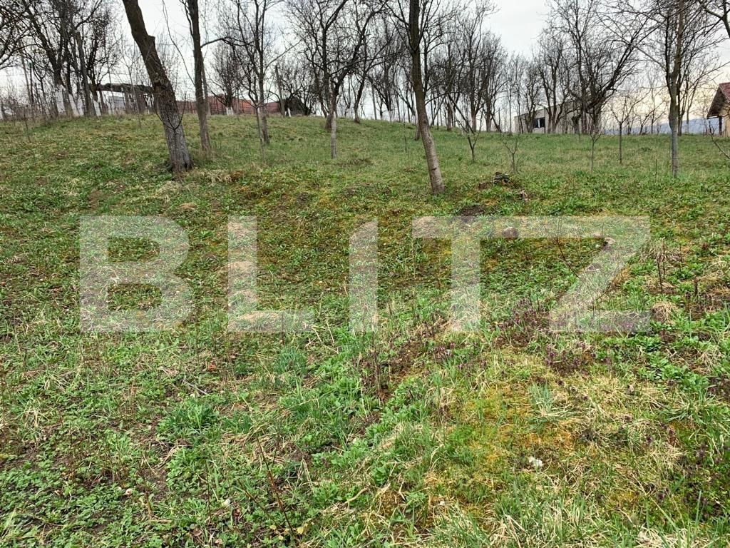 Casa de vânzare 2 camere Jucu de Sus - 112580CV | BLITZ Cluj-Napoca | Poza2