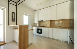 Penthouse superb, 100 mp, terasa, zona Buna Ziua