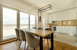 Penthouse superb, 100 mp, terasa, zona Buna Ziua