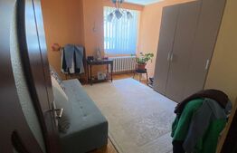 Apartament de 3 camere + living generos, balcon, garaj, zona Gradini Manastur