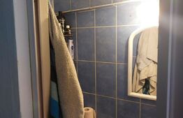 Investiție! Garsonieră renovabilă 20 mp, zona Auchan Iris 