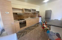 Apartament cu 3 camere,100mp, modern, terasa, zona Gradinii Botanice