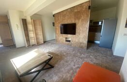 Apartament cu 3 camere,100mp, modern, terasa, zona Gradinii Botanice