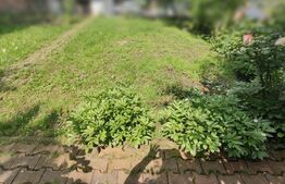 Apartament de 2 camere, util 77 mp + 230mp curte, 2 parcari, zona Piata Engels