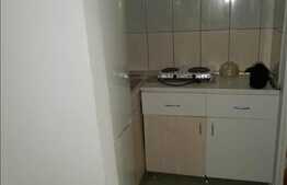 Vanzare apartament 2 camere, decomandat, 28 mp utili, zona strazii Castanilor!