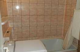 Vanzare apartament 2 camere, decomandat, 28 mp utili, zona strazii Castanilor!