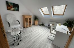 Spațiu comercial, 250 mp, parcări, zona străzii George Baritiu