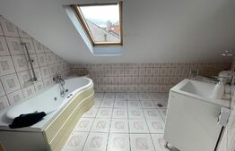 Spațiu comercial, 250 mp, parcări, zona străzii George Baritiu