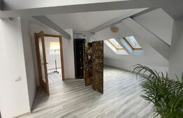 Spațiu comercial, 250 mp, parcări, zona străzii George Baritiu