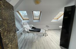 Spațiu comercial, 250 mp, parcări, zona străzii George Baritiu