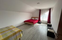 Casa de închiriat, 330 mp, curte, parcări, zona Iris