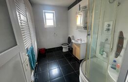 Casa de închiriat, 330 mp, curte, parcări, zona Iris