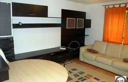 Apartament cu 2 camere, 60 mp, parcare, curte, pet friendly, zona USAMV