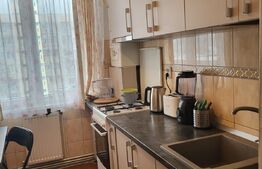Apartament 2 camere, 52 mp, semidecomandat, zona Garii