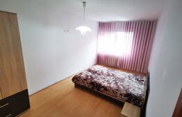Apartament 2 camere decomandate, 54 mp, etaj intermediar, zona Muzeul Apei