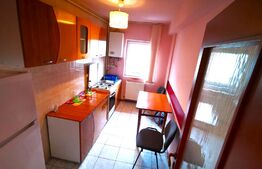 Apartament 2 camere decomandate, 54 mp, etaj intermediar, zona Muzeul Apei