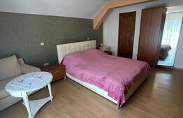 Exclusiv ! Pensiune turistica la cheie pozitionata in mijlocul naturii ! 