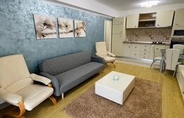 Apartament de 2 camere, 50mp, etaj intermediar, parcare, zona Porii 