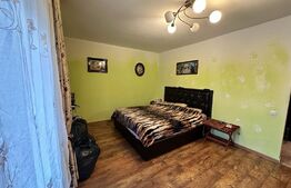 Apartament decomandat, 44mp, etaj intermediar, zona Vivo