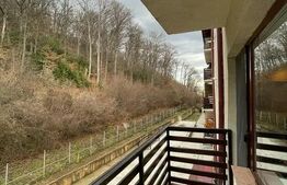 Apartament de 2 camere, 54mp, semidecomandat, Noua
