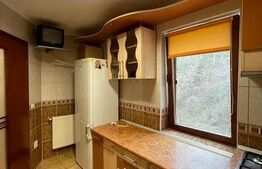 Apartament de 2 camere, 54mp, semidecomandat, Noua