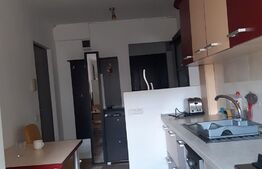 Apartament de 3 Camere, 60.00mp, semidecomandat, Scriitorilor