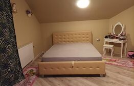 Casa individuala cu 3 intrari separate, 280mp, zona Gilau