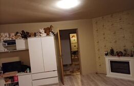 Casa individuala cu 3 intrari separate, 280mp, zona Gilau