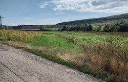 Teren intravilan 1400 mp în Mera, zonă liniștită de case