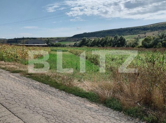 Teren de vânzare Mera - 113555TV | BLITZ Cluj-Napoca | Poza1