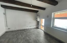 Casa ultracentrala, renovata complet, pretabil clinica/birouri sau pentru regim hotelier, 235mp utili, Str Lunga