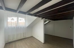 Casa ultracentrala, renovata complet, pretabil clinica/birouri sau pentru regim hotelier, 235mp utili, Str Lunga