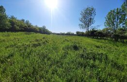 Teren intravilan 5800mp,Feleacu,zona Calea Turzii,zona mixta