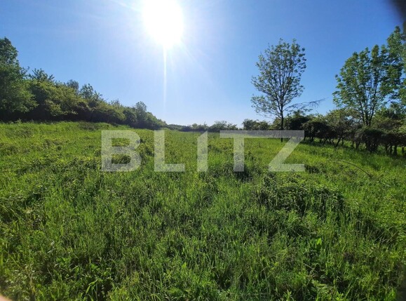 Teren de vânzare Feleacu - 113573TV | BLITZ Cluj-Napoca | Poza1