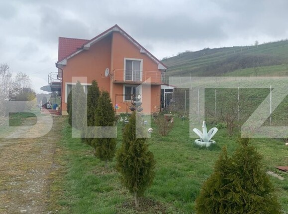 casa la cheie cluj | Poza13