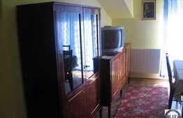 Vanzare mansarda cu 1 camera, 40 mp, balcon, zona Florilor! Cu parcare!