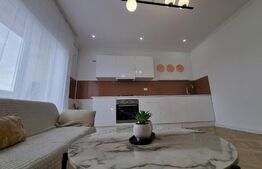 Apartament 2 cam, 43 mp, modern finisat , zona Ioan Rus