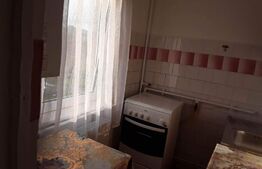 Garsonieră, 24 mp, etaj intermediar, zona La Terenuri