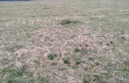 Teren intabulat, 1000mp, zona Harman