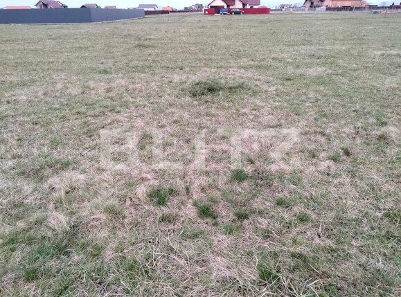 Teren de vânzare Harman - 113736TV | BLITZ Brașov | Poza3