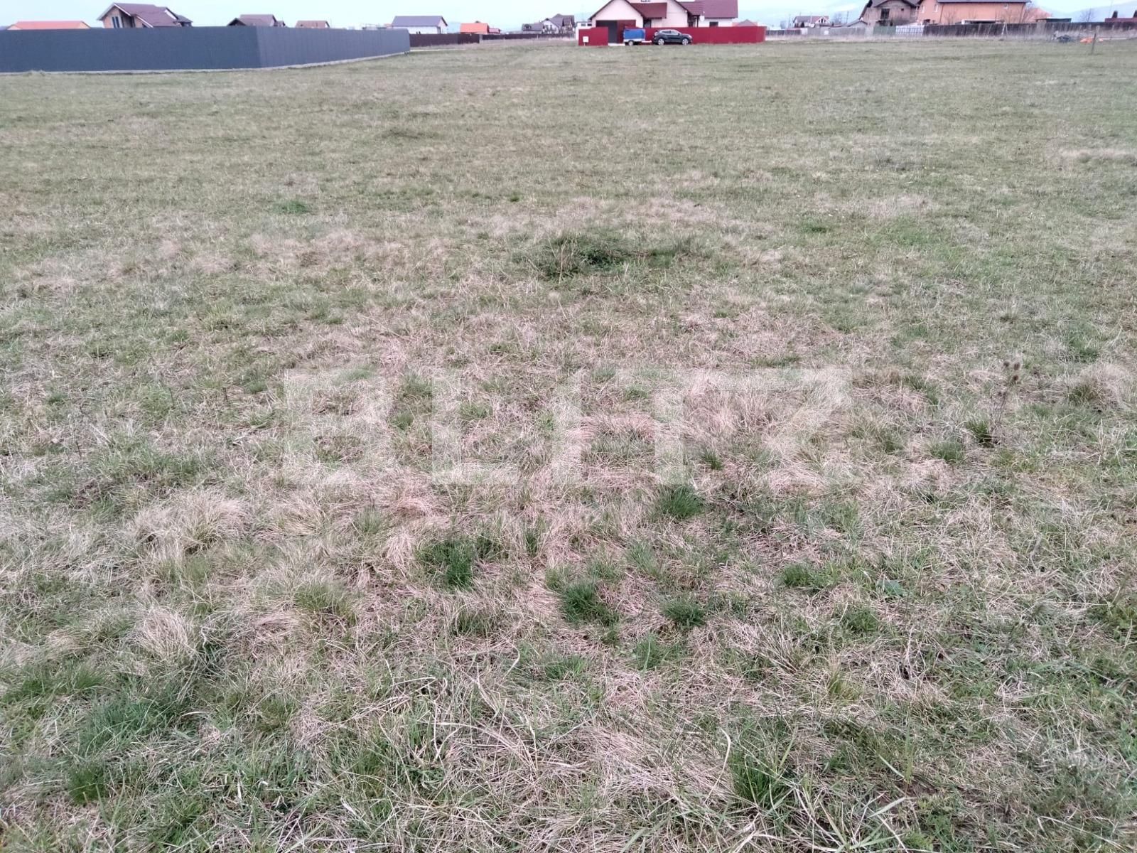 Teren de vânzare Harman - 113736TV | BLITZ Brașov | Poza3