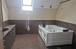 Apartament 3 camere, 230 mp, parcare, terasa, zona strazii Buna Ziua