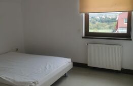 Apartament 3 camere, 230 mp, parcare, terasa, zona strazii Buna Ziua