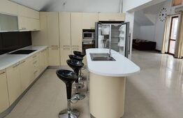 Apartament 3 camere, 230 mp, parcare, terasa, zona strazii Buna Ziua