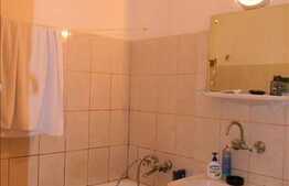 Apartament de vanzare, 1 camera, 24 mp, etaj intermediar, zona Negoiu!