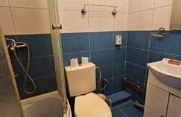 Garsonieră 24 mp luminoasa, etajul 1 din 4, complet mobilata si utilata, zona Tractorul