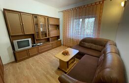 Garsoniera, 25 mp, centrală proprie, zona Garii