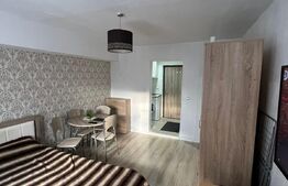 Investiție la cheie, Garsonieră, zona Expo Transilvania